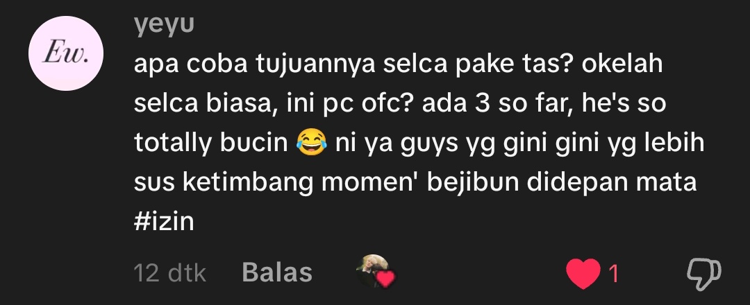 🪿 tweet media