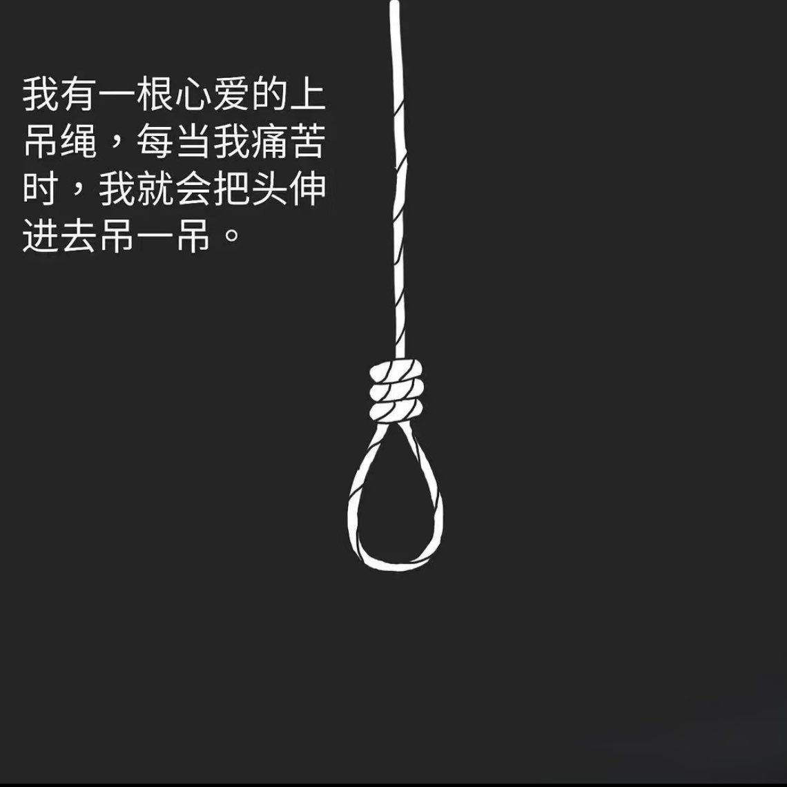 遥 tweet media