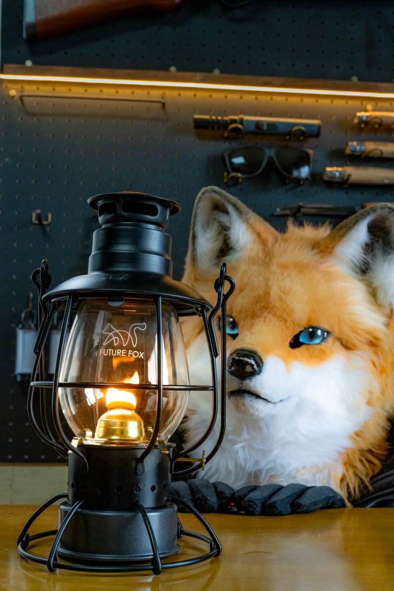 shuttle_drive's tweet photo. FutureFoxのランタン届いた🦊…オシャレ!
#うちのきつね
#futurefox https://t.co/0x3YsI1kSv