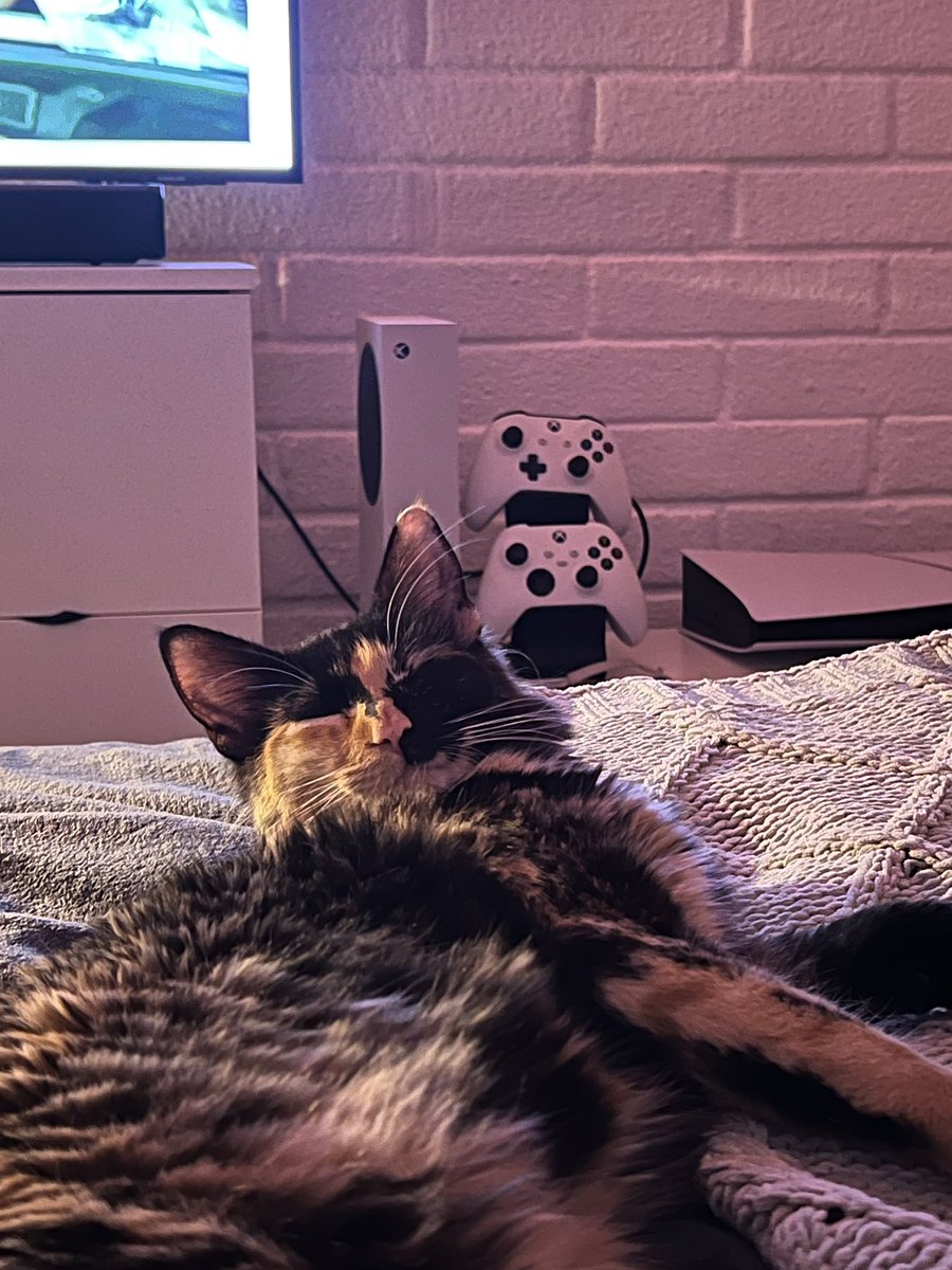 oritakeis's tweet photo. https://t.co/3cZj7EDvYk