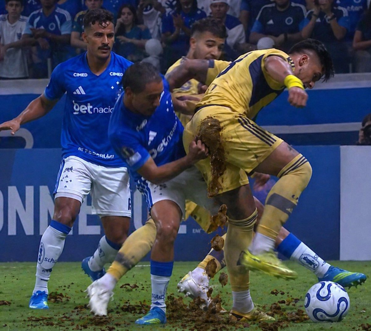BAGRES DO CEC 🦊 tweet media