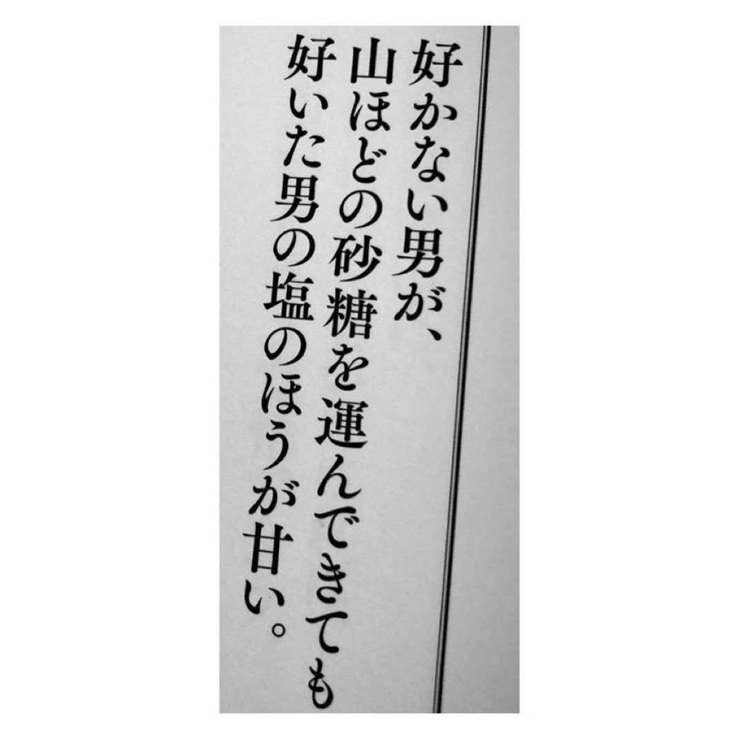 ミナ美 tweet media