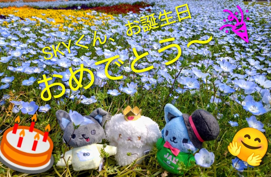 renjam11's tweet photo. 碧海くん、26歳のお誕生日おめでとう✈✈✈
碧海くんの心に触れる歌声、熱い情熱、メンバー想いなところ、大好きだよ❥
笑顔溢れる素敵な26歳になりますように✨

#碧海のことが好きだよ #HappySkyDay #JO1 https://t.co/iARjHdNDgP