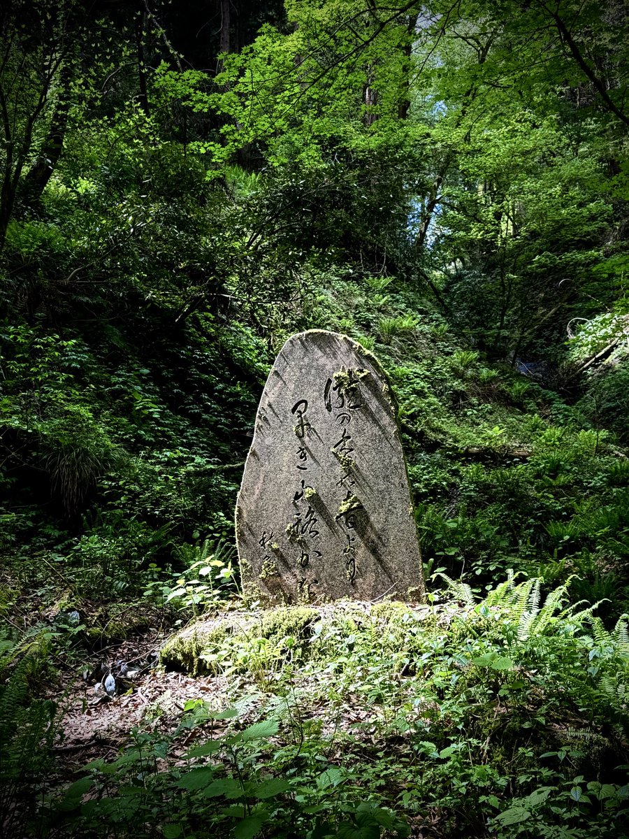 jin_vg30's tweet photo. #キリトリセカイ
#木漏れ日
#石碑
#japanphotography
#tinyworlds 
#ruraljapan https://t.co/Eo8kIOSVOV