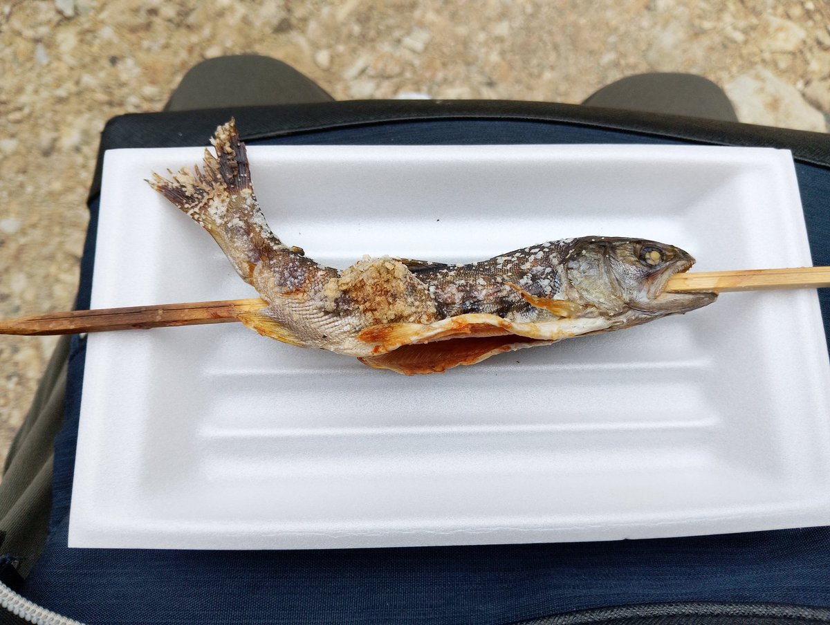 唐突に下呂の温泉街なう

アマゴの塩焼き初めてだわ