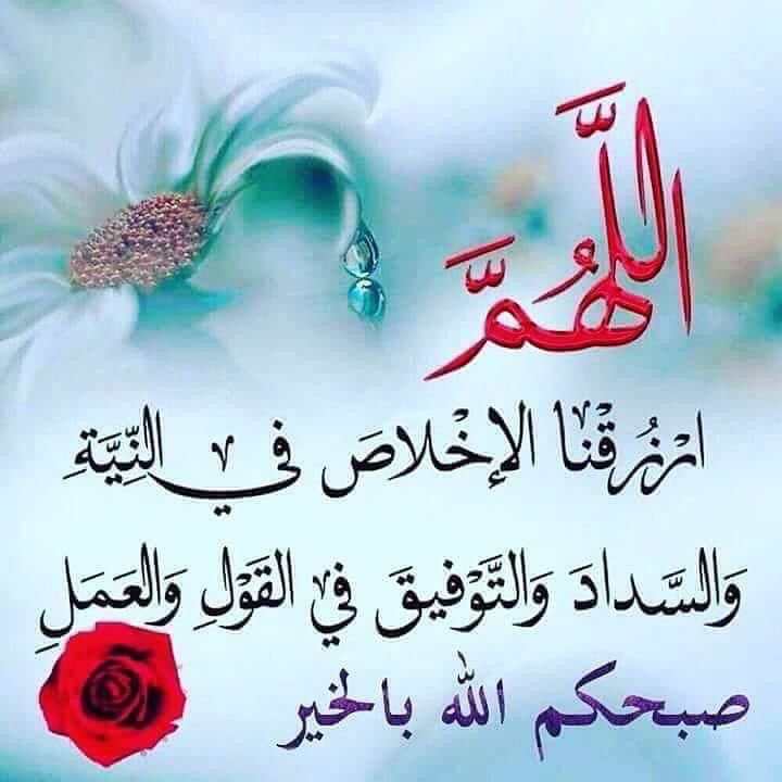 رحمه النبهاني tweet media