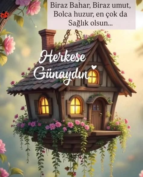 yaşlıca tweet media