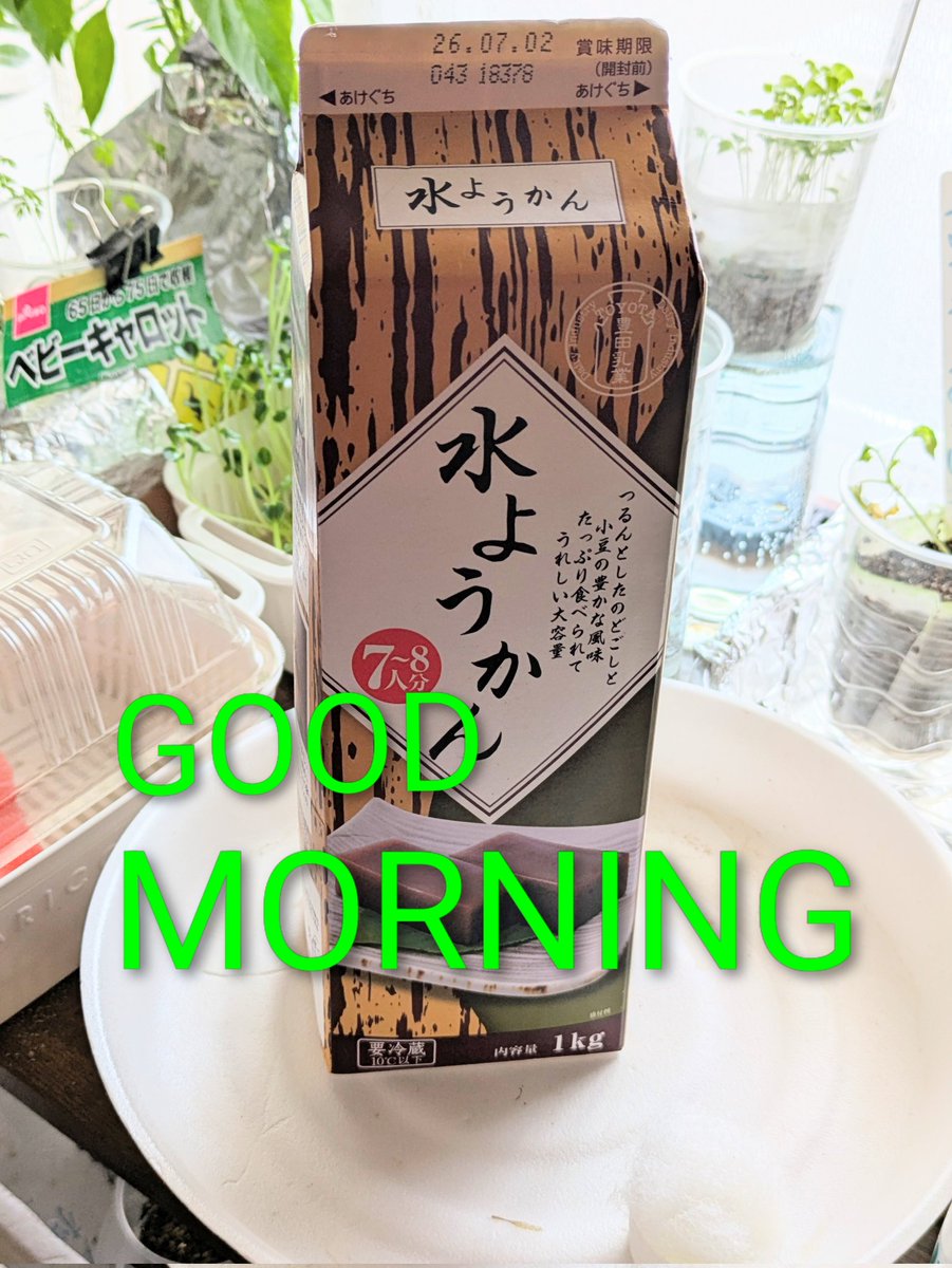 仮ラベけだちゃん🙏 tweet media