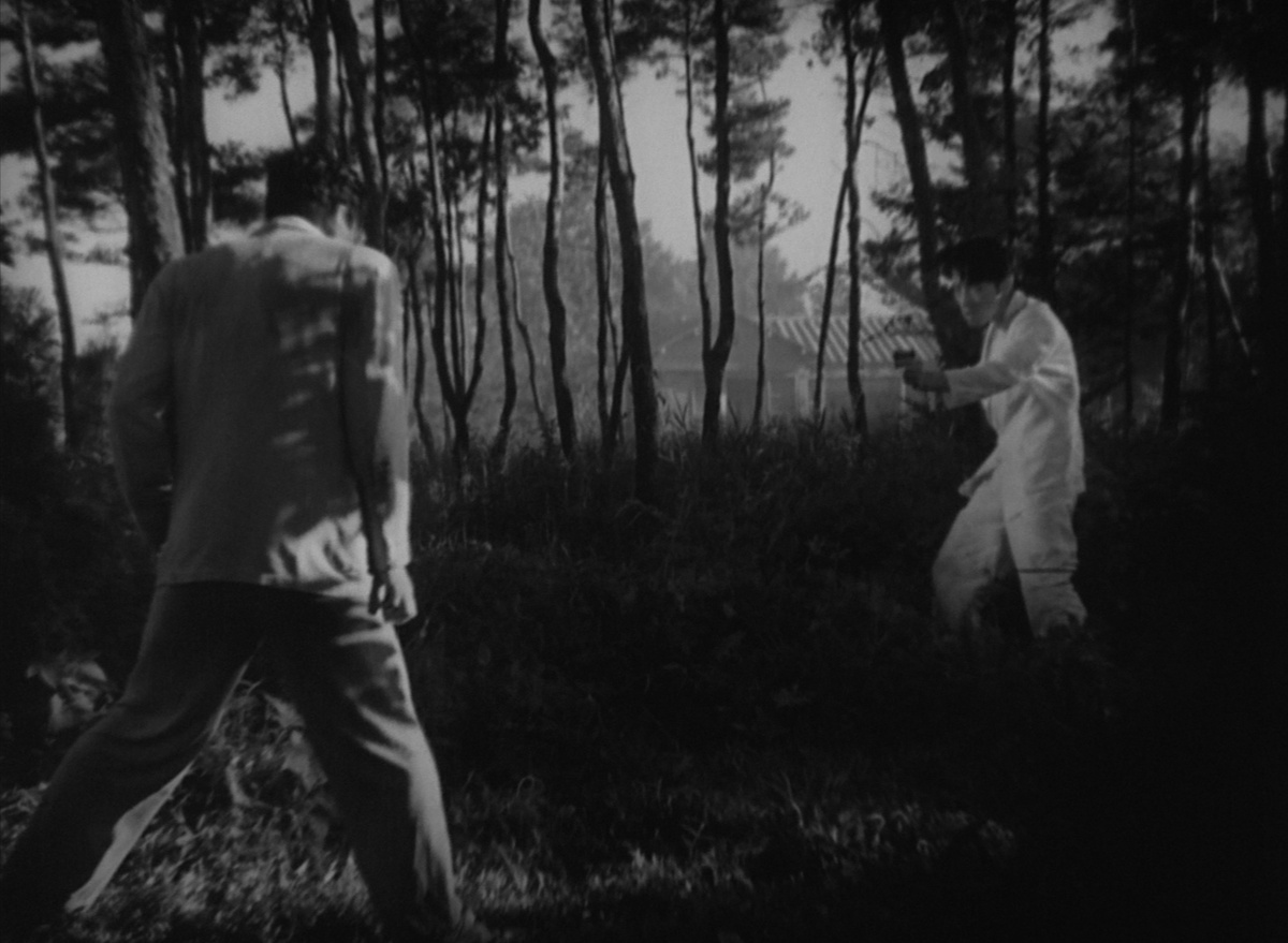 cheemshots's tweet photo. Stray Dog (Nora Inu) [1949] | Directed by: Akira Kurosawa https://t.co/8C6orHzJxX