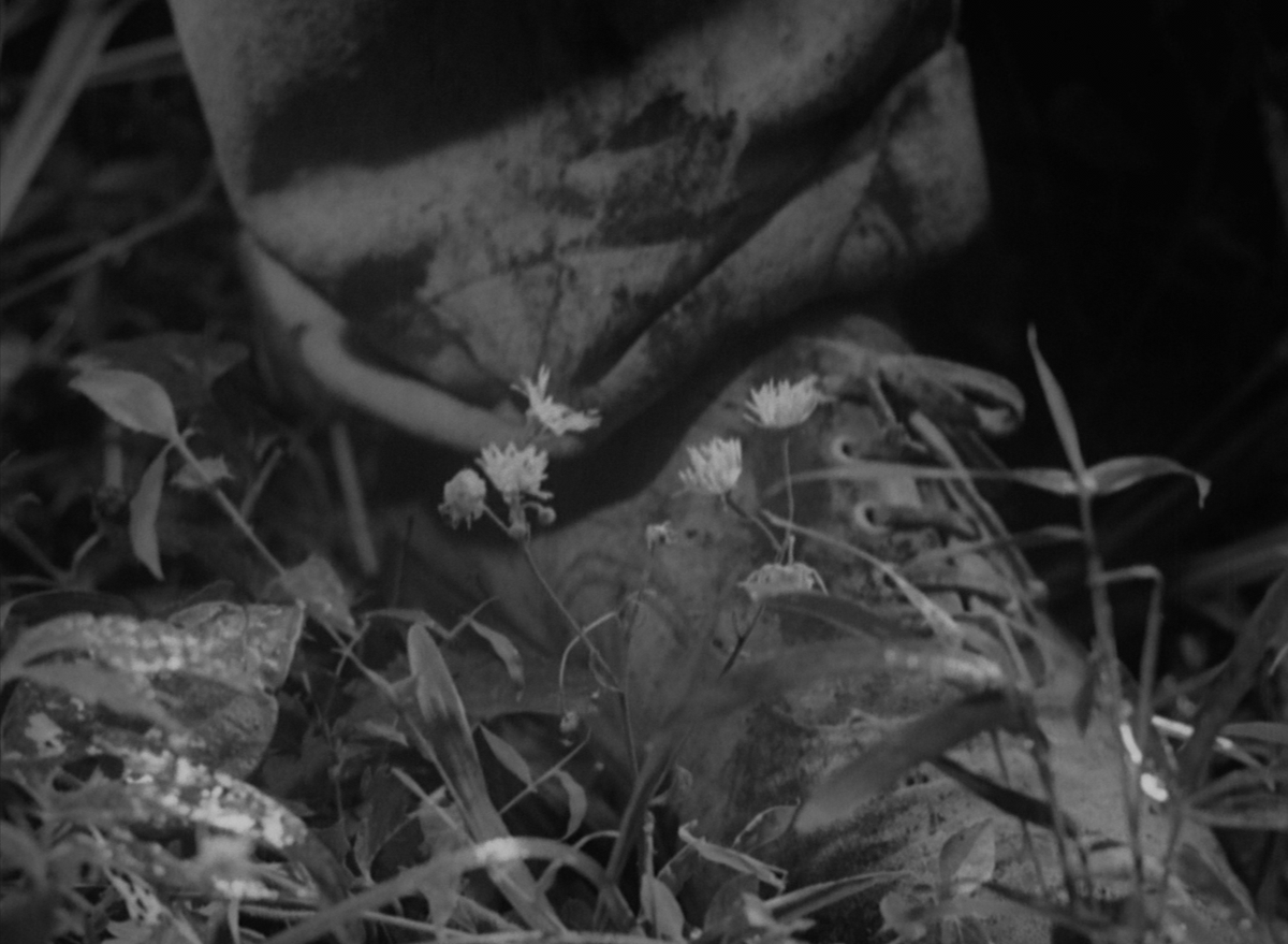 cheemshots's tweet photo. Stray Dog (Nora Inu) [1949] | Directed by: Akira Kurosawa https://t.co/8C6orHzJxX