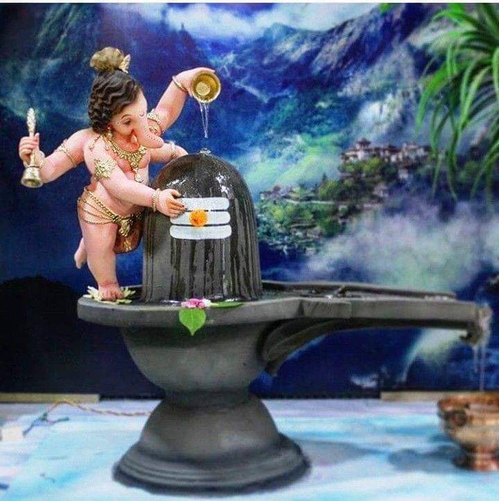 दादा tweet media