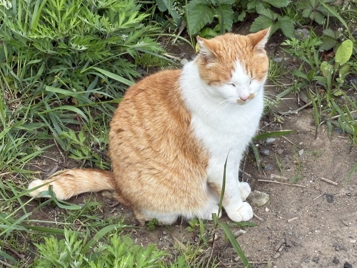5月6日の食後のまったりタイム😽🎶