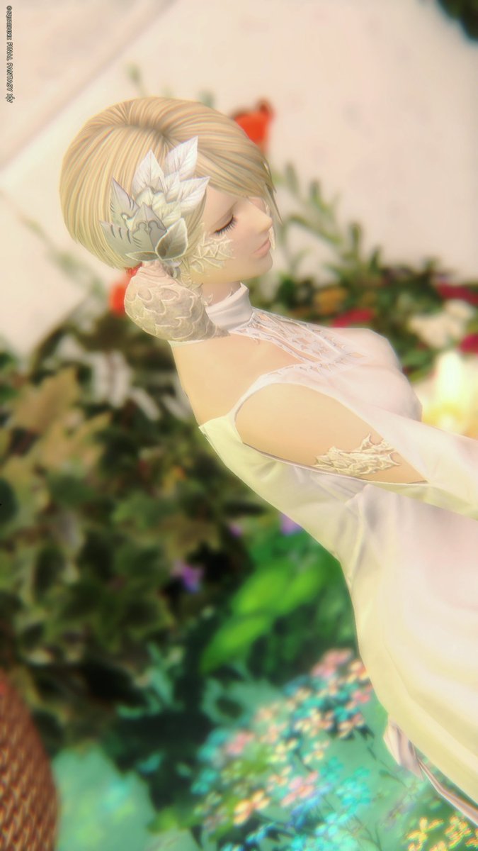いそべもち tweet media