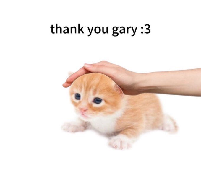 penguinkidd's tweet photo. @thankyougary__ https://t.co/XMuTBJ9SkH