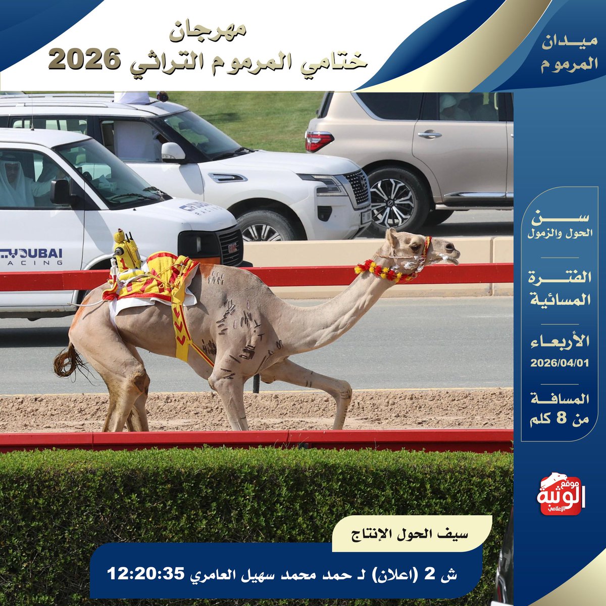 الهجن الاصايل 🐪 tweet media