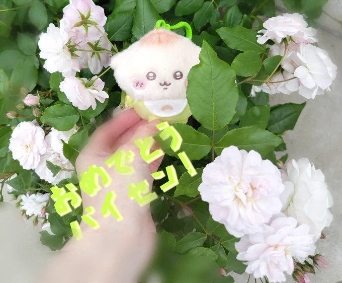 ねこレモン««ラッコ先生とゆく«« (@GoChiikawaRakko) / X