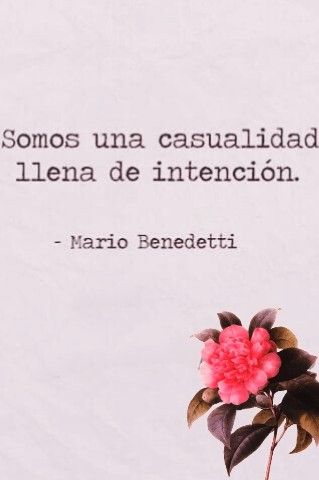 Gina_silv's tweet image. #MarioBenedetti