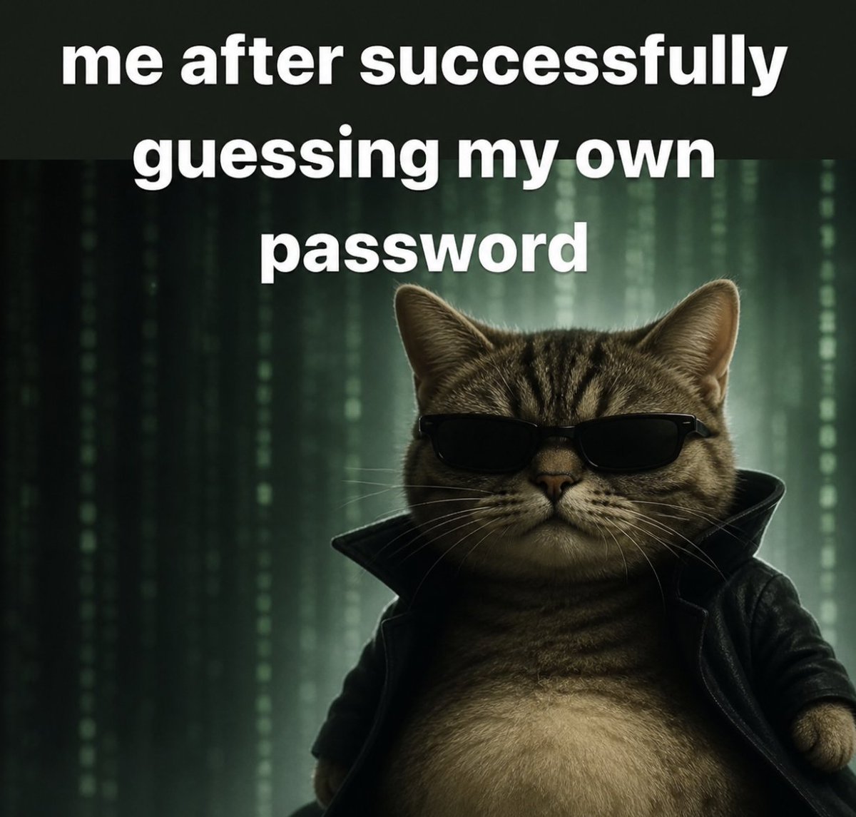 literallymecats's tweet photo. https://t.co/Qvws2cKdDb