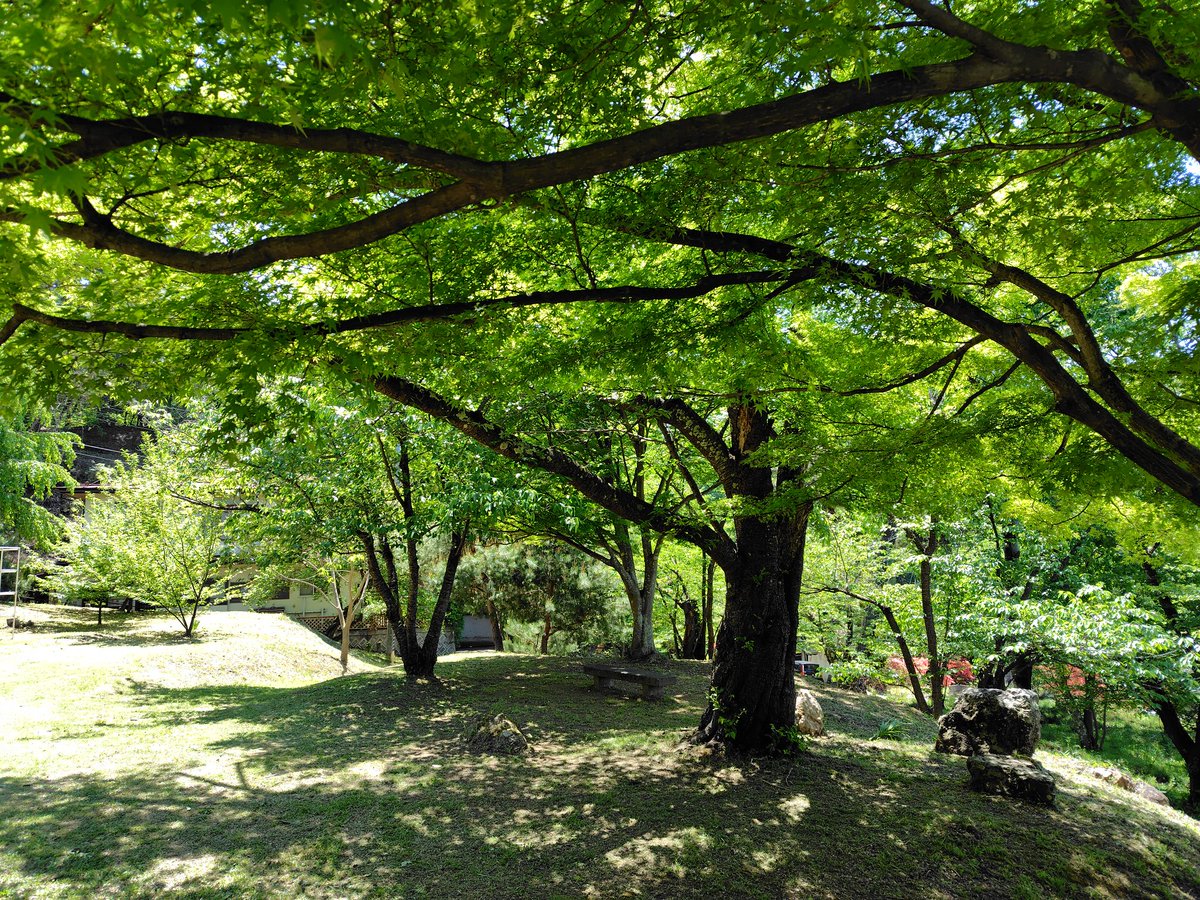 千歳公園。ここなら景観も良いし、木陰もある。お昼にするには申し分なし！