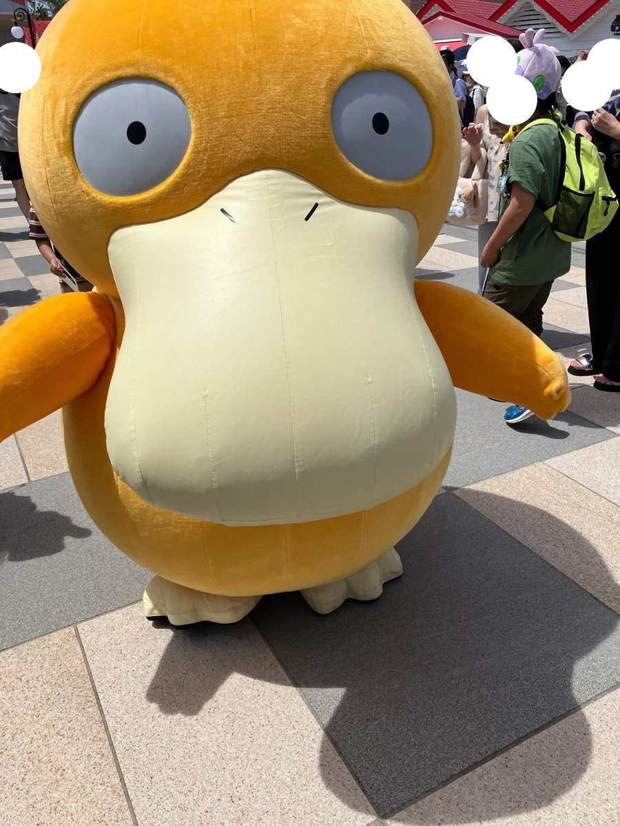ひなぴぃ tweet media