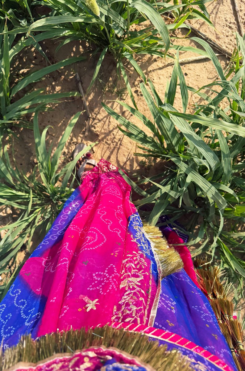 मरू री मरवण🏜️ tweet media