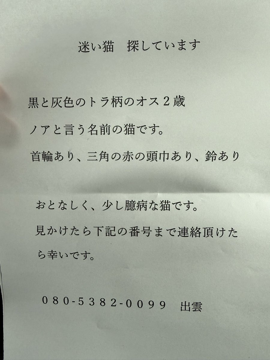 拡散お願いします🙇‍♀️

栃木県小山市城東付近で飼い主さんが
一生懸命 探してます🥲

ノアくん🐱見つかりますように🙏