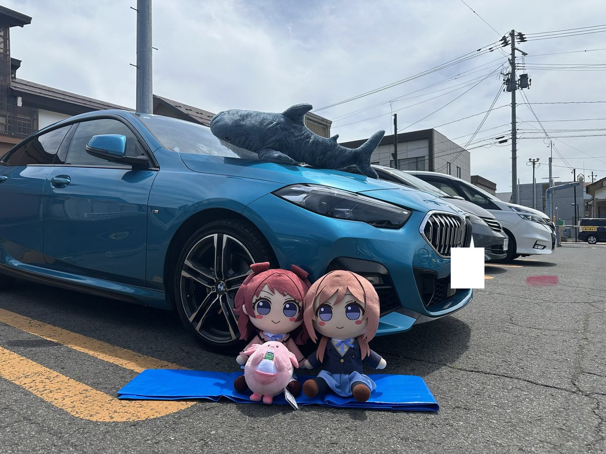 HAMYU（はみゅー）🇩🇪🇮🇹 tweet media