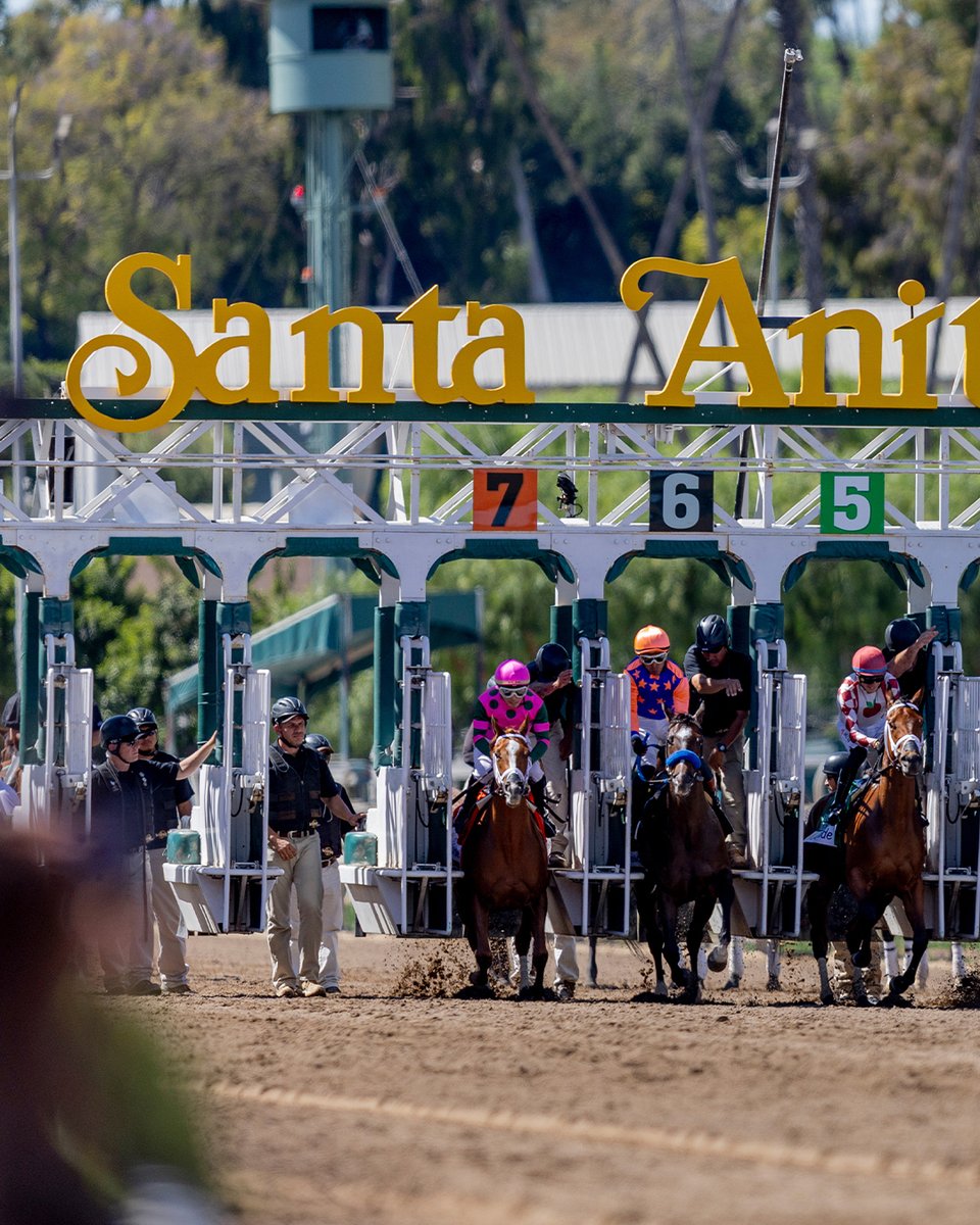 Santa Anita Park tweet media