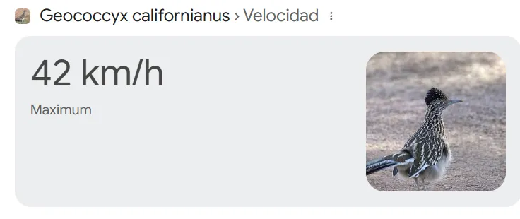 🍉🍉Lord of Maníacos🍉🍉 - Orgulloso Papá Gallina tweet media