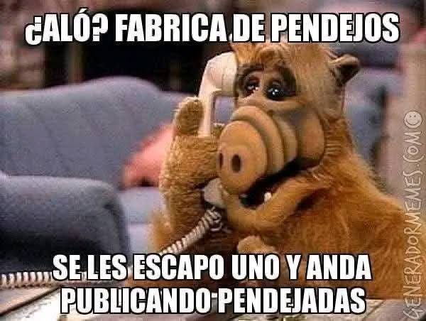 Giarujo tweet media