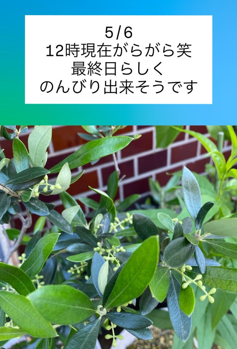 浜田山Trackside tweet media