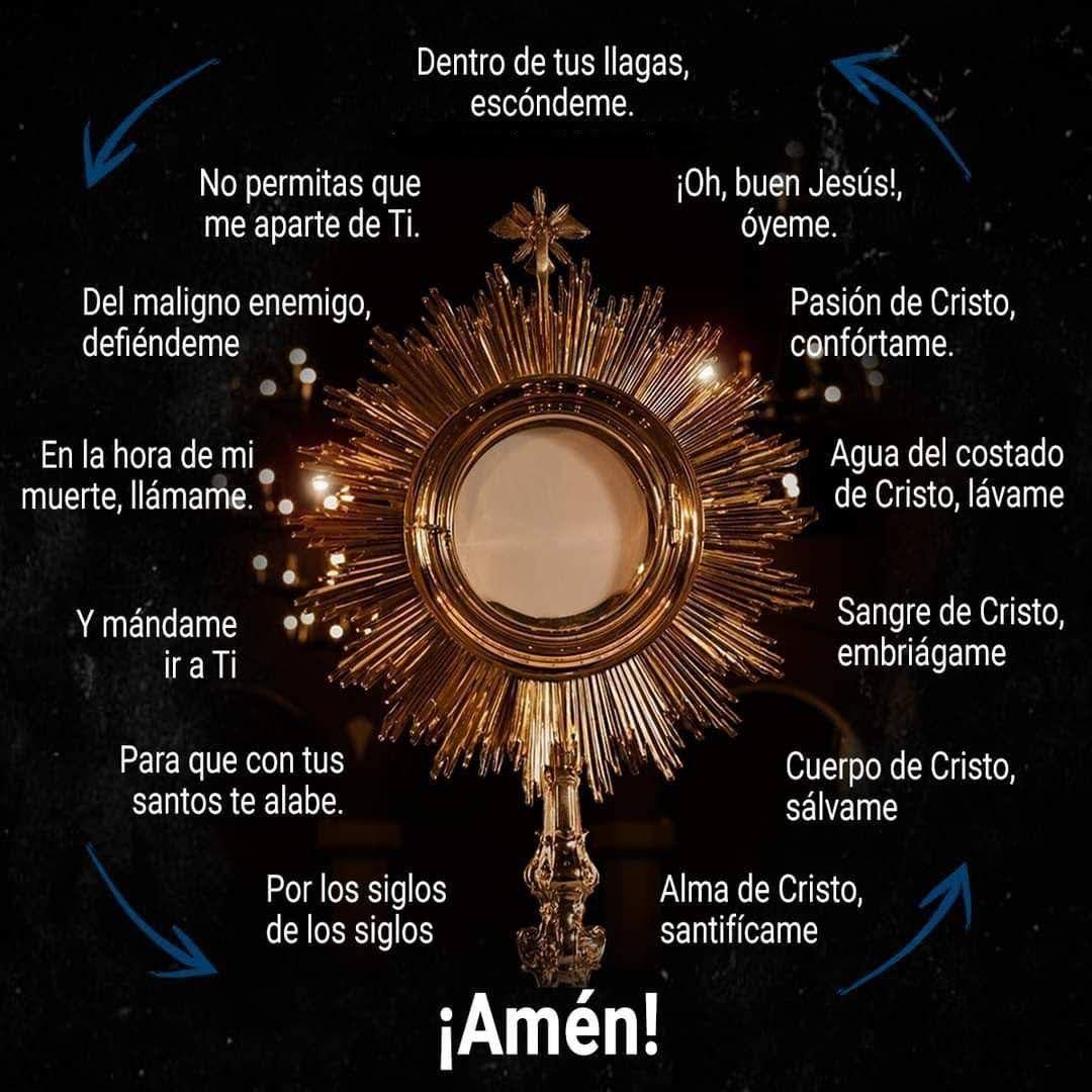 TarekSaidVzla's tweet photo. Empezamos el día con Dios y María Santísima:

"Alma de Cristo, santifícame.
Cuerpo de Cristo, sálvame. 
Sangre de Cristo, embriágame. 
Agua del costado de Cristo, lávame. 
Pasión de Cristo, confórtame.
Oh buen Jesús, óyeme. 
Dentro de tus llagas, escóndeme.
No permitas que me aparte de ti.
Del maligno enemigo, defiéndeme. 
En la hora de mi muerte, llámame. 
Y mándame ir a ti,
Para que con tus santos te alabe,
Por los siglos de los siglos". 

Amén.