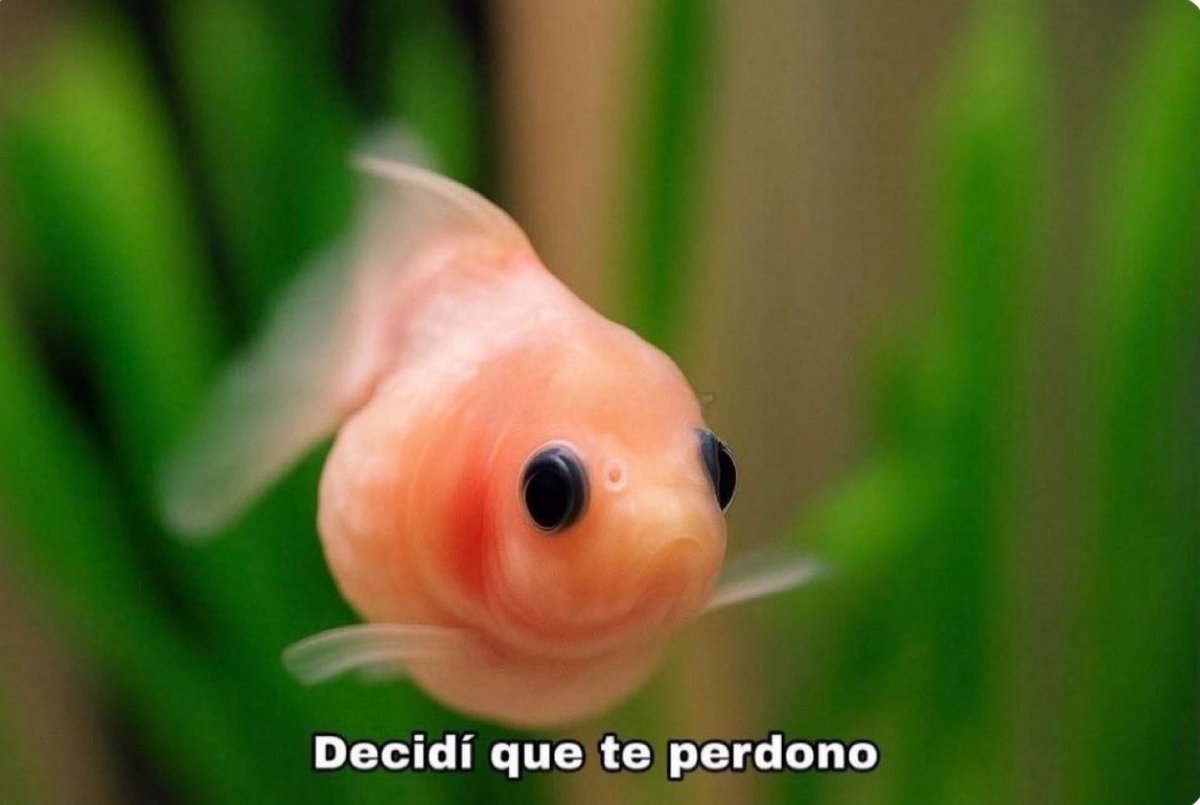 Yo después de darme cuenta que no era para tanto y exageré un poquito.