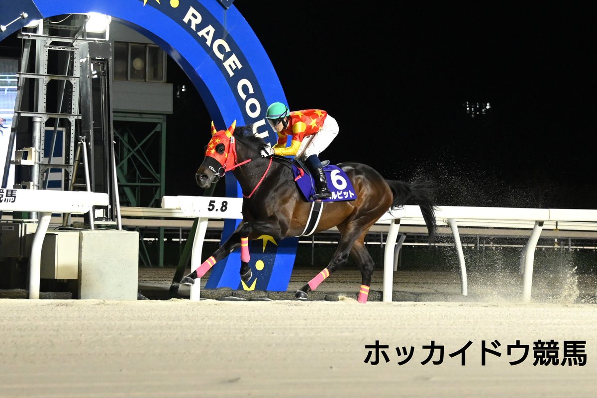 コスモバルク記念 本日開催。門別競馬場で第16回コスモバルク記念(3歳