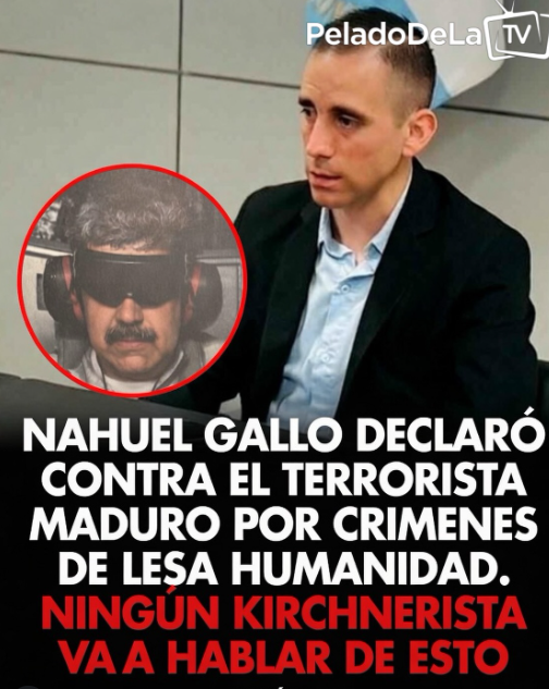 Tv Pública Libertaria tweet media