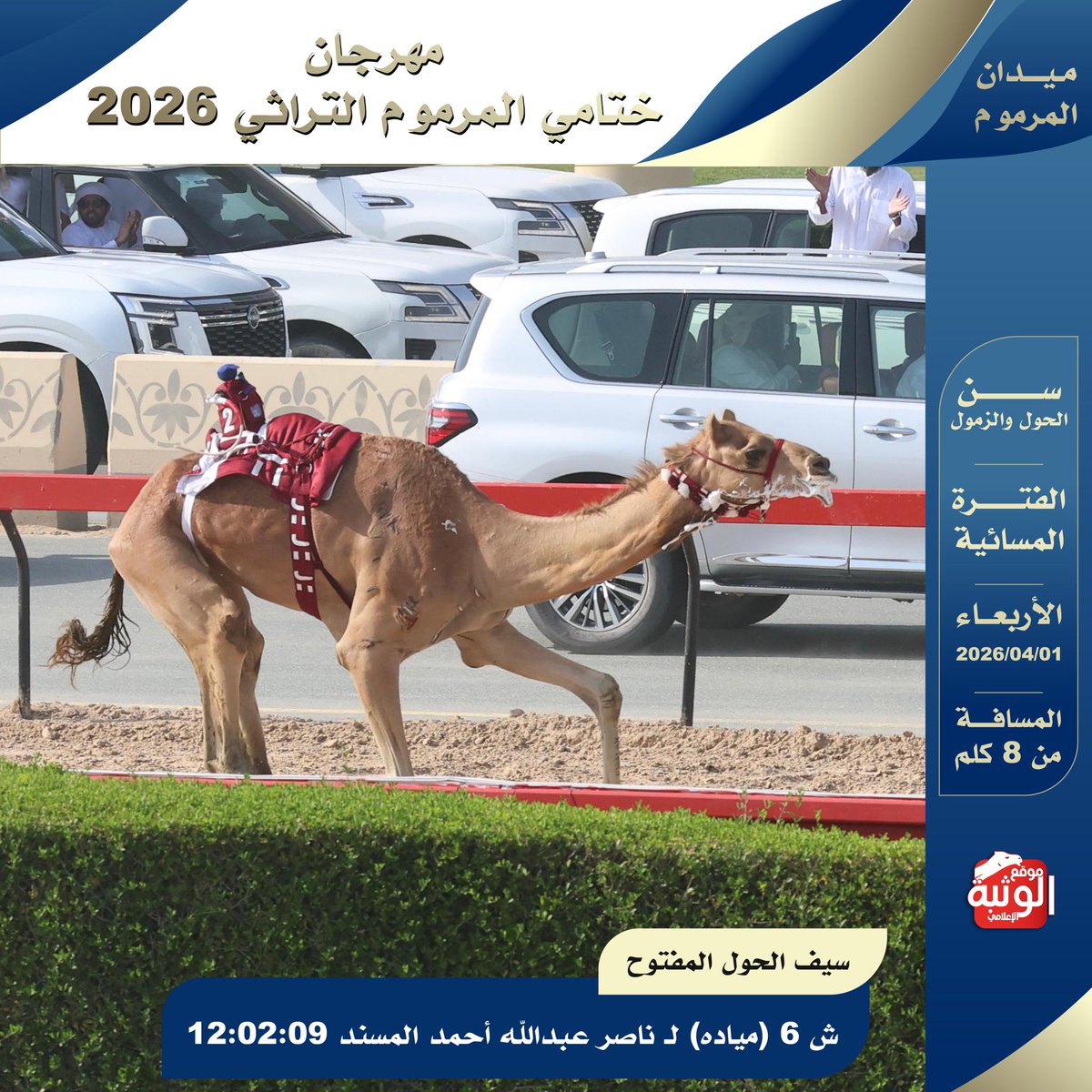 الهجن الاصايل 🐪 tweet media