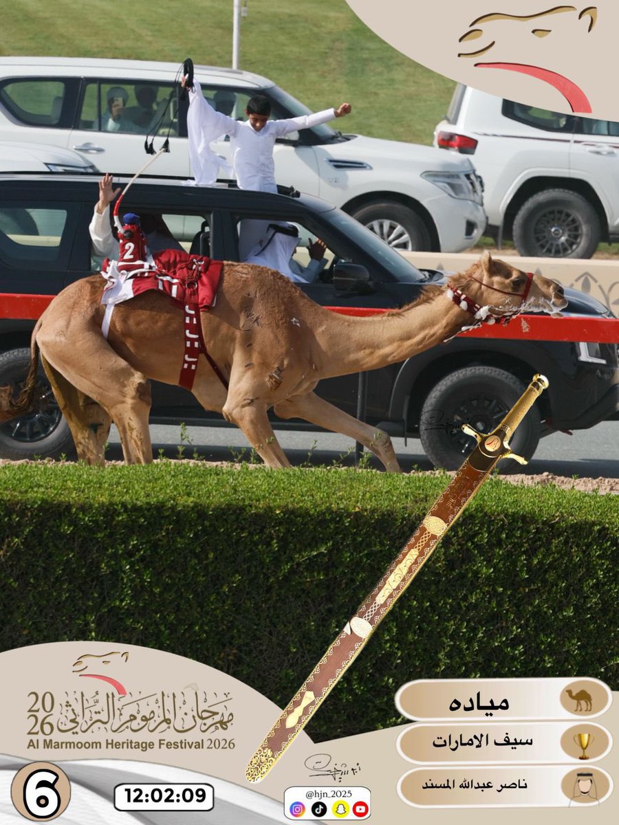 الهجن الاصايل 🐪 tweet media