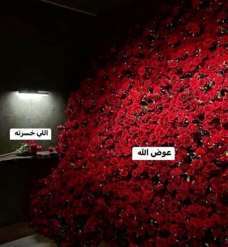 وتظُنُ أنها النَّهاية ثم يُصلِحُ اللّٰه كل شيء.❣️