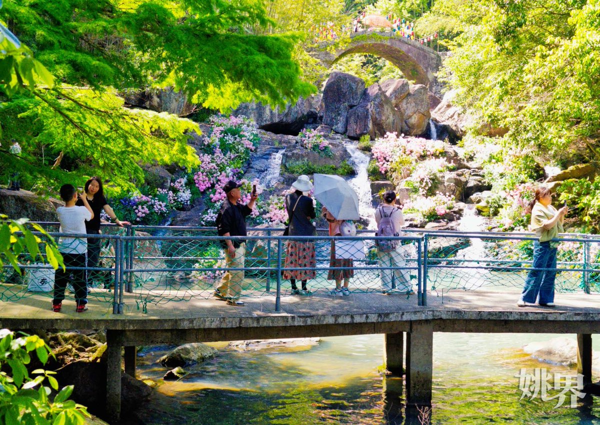 On the first day of May Day holiday, Danshan Chishui Scenic Area in Dayan Town, Yuyao, was bustling! The "Green Fairyland" scenery, lush and picturesque, drew crowds to stroll and capture memories. A serene escape into spring's embrace! #NatureRetreat #SpringVibes