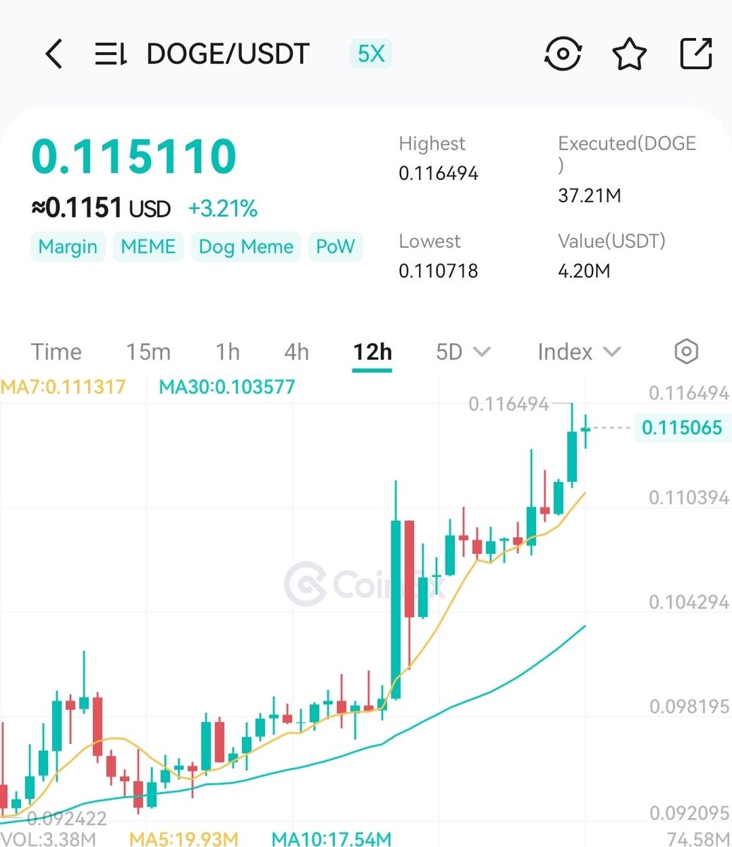 Hailey LUNC XRP tweet media