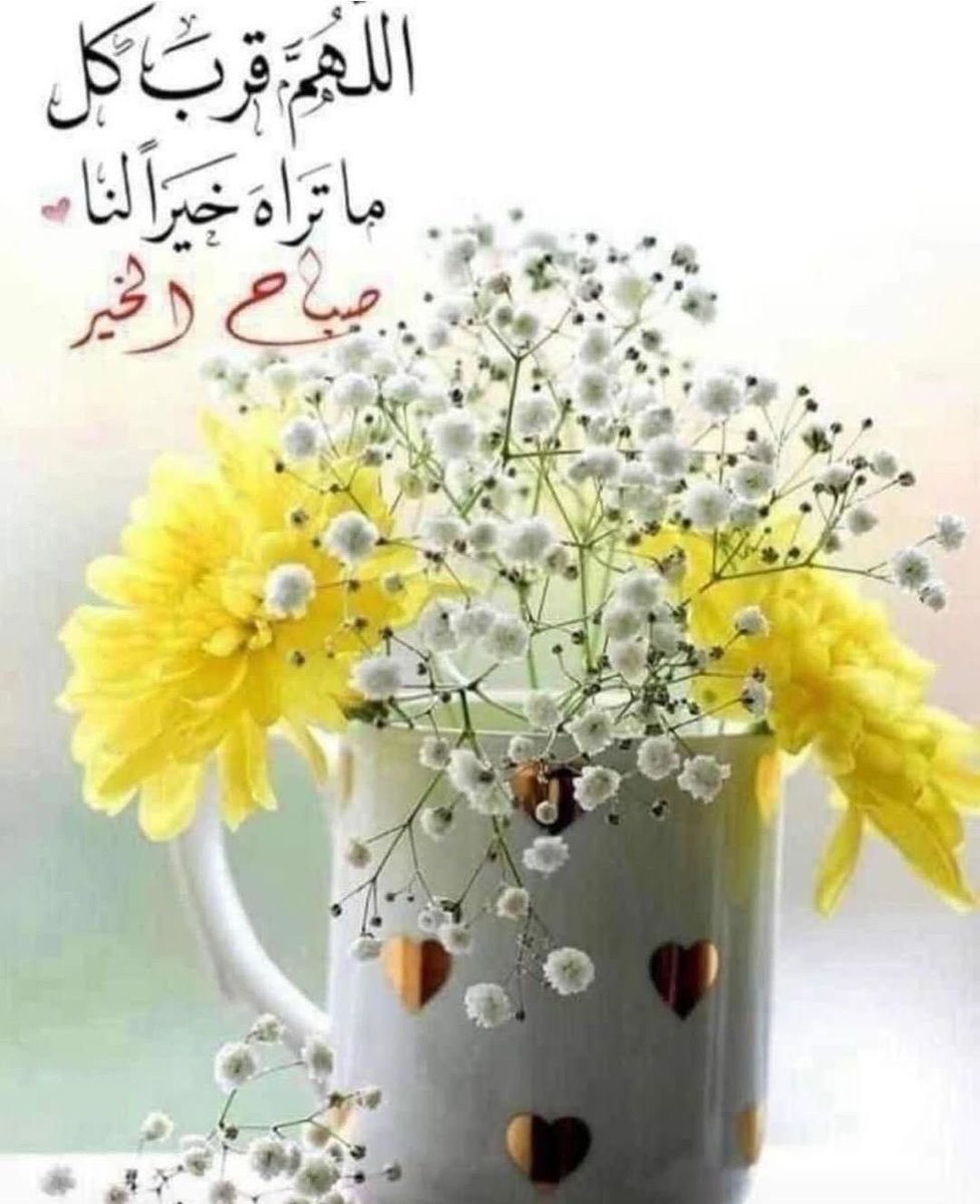 meesa85's tweet photo. اللهم إنا نسألك من فيض جودك أن تغمر قلوبنا بسكينة لا تشقى بعدها أبداً، وأن تجعل بيوتنا واحاتٍ للأنس والسعادة، وأبداننا موفورة بالعافية، وحياتنا مكللة بالتوفيق والسداد. اللهم احفظ أوطاننا بحفظك، وأسبغ علينا نِعمك ظاهرة وباطنة، واجعل الابتسامة رفيقة وجوهنا، والنور سبيلاً لدروبنا. اللهم اغفر لنا ولوالدينا وللمسلمين أجمعين، واجعلنا ممن شملتهم برحمتك وعفوك.
#صباح_الخير_والسعادة