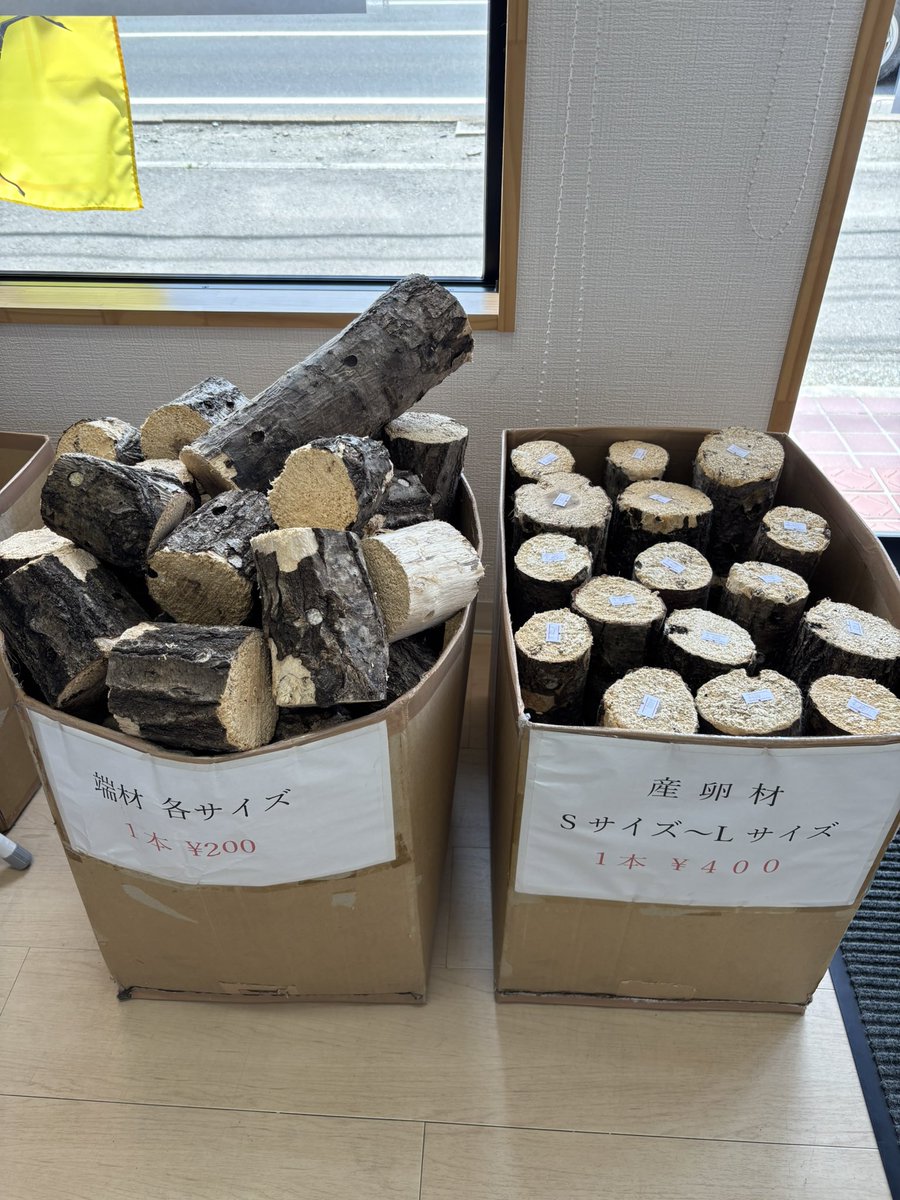オオクワガタ販売・オオクワフィールド tweet media