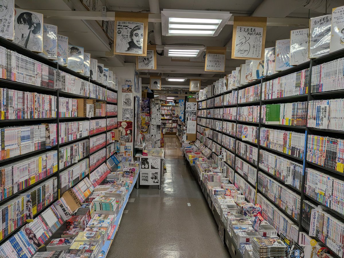 本好き→本屋就職→毎日本に囲まれる生活！

その後の現実
毎日本に囲まれる→気になる本が日に日に増える→でも忙しくて本を読む時間が取れない→積読がどんどん増える。

でも休日、また本屋に行ってしまう…。

書店員あるあるです。
#書店