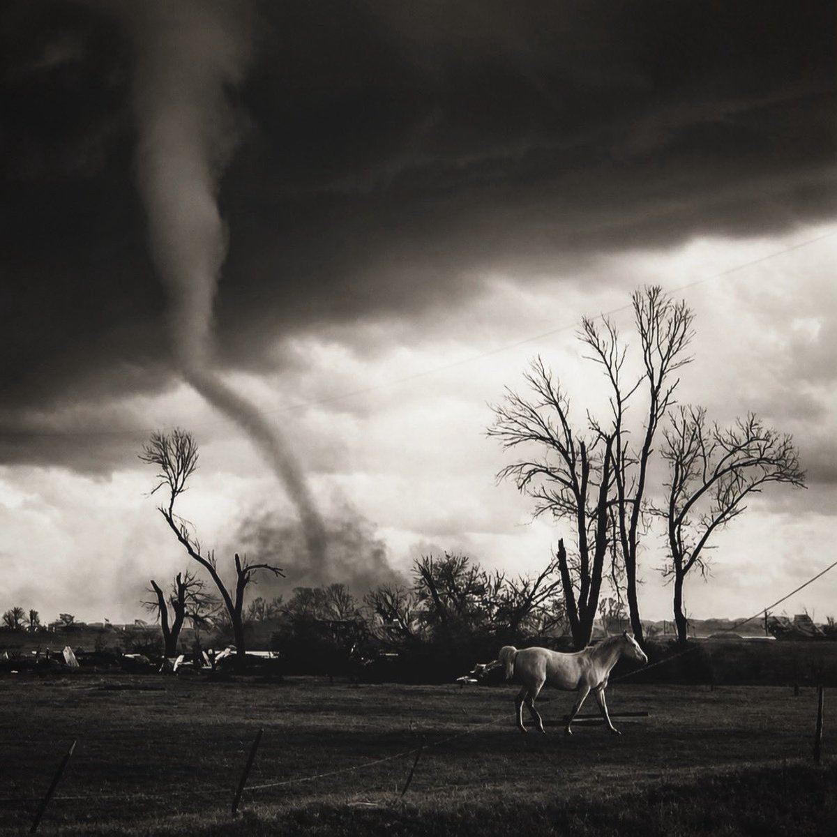 MichaelMarz1's tweet photo. another angle of the Waverly, Nebraska tornado from 4/26/2024 with the white horse - https://t.co/RoIohaYmGW
