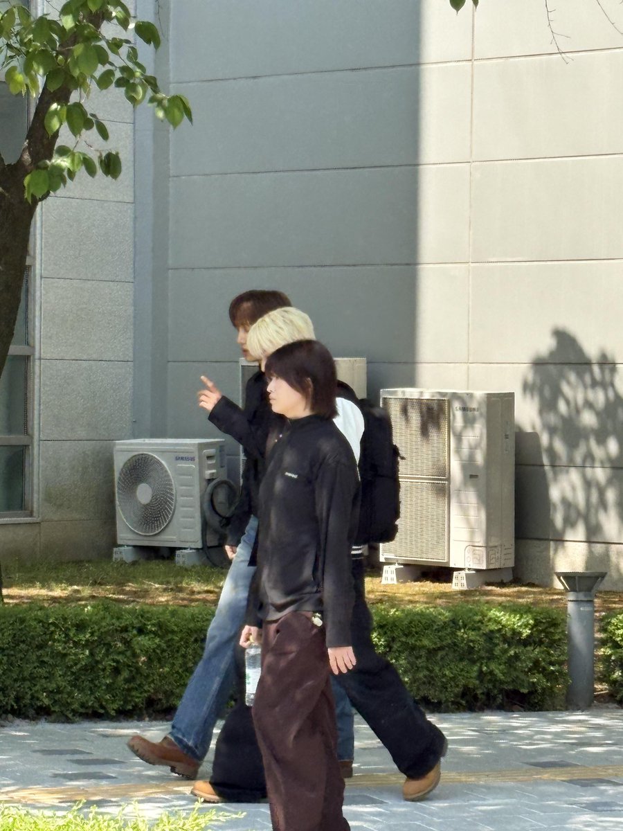 PandaSister_판다누나 tweet media