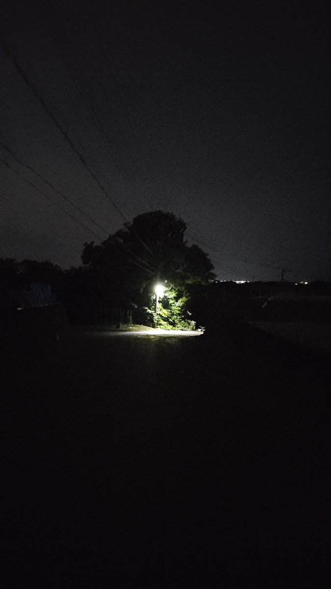 くうな--Couna-- tweet media