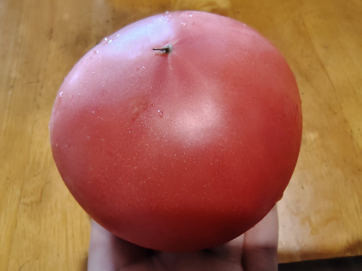 tomatooisi_bot's tweet photo. トマト https://t.co/IfxfK4CJ3q
