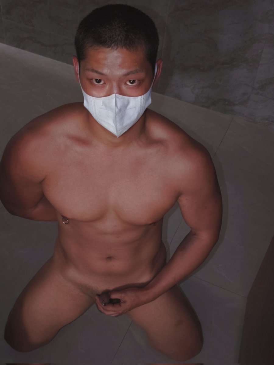 小柴犬 tweet media