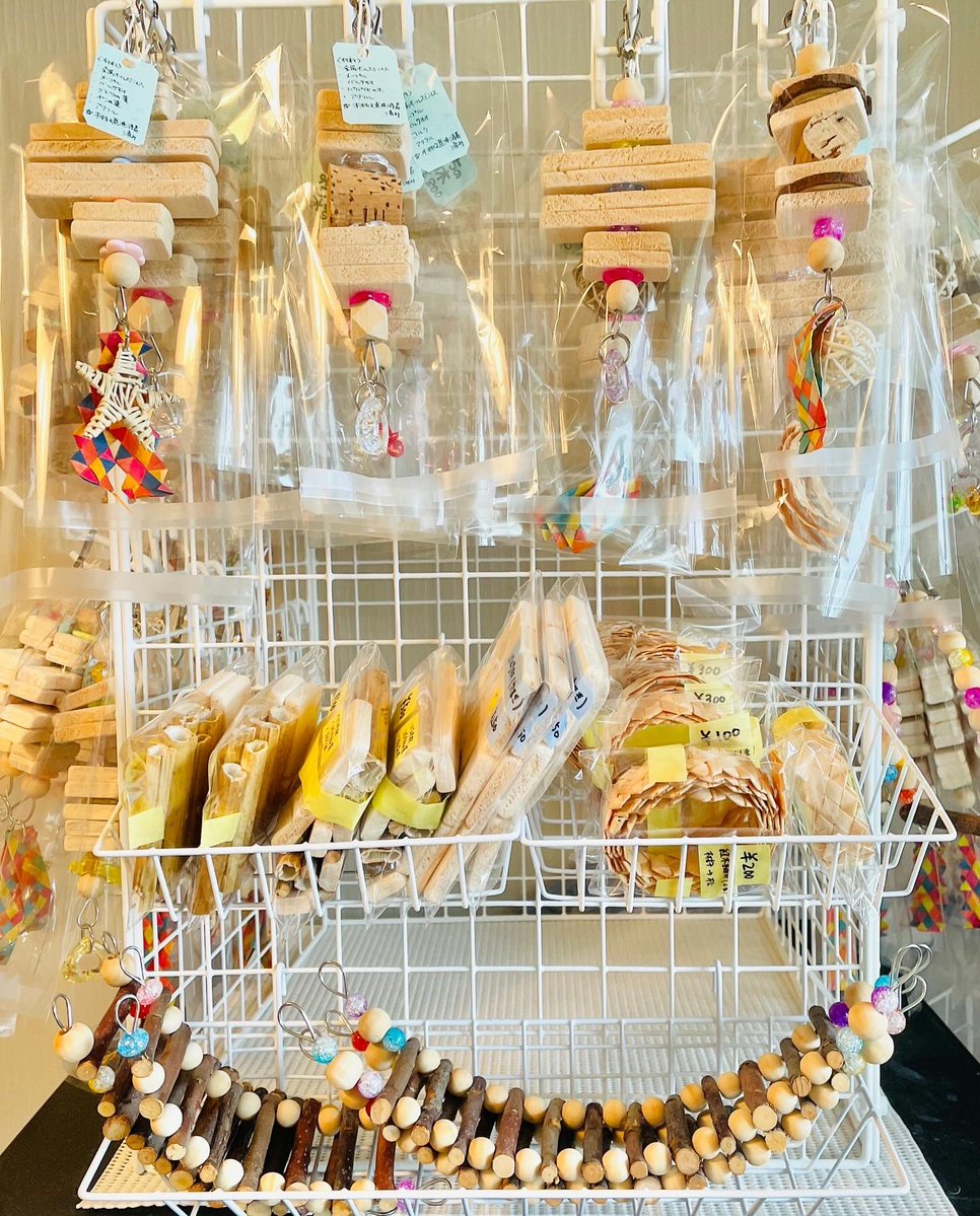 鳥フェス金沢出展のお知らせ♪ 「たねきちのとまり木」ブースでは