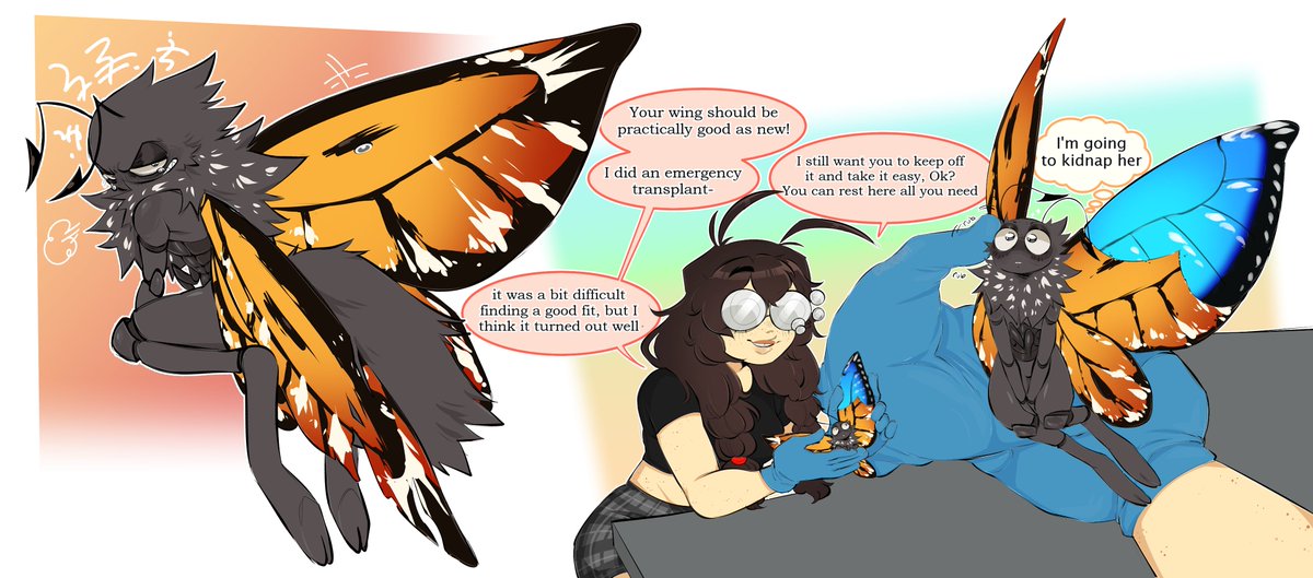 ScarletMonarchs's tweet photo. repairing titus' wing AU
anthro titus looks like a little fairy 🥹🧡
#hoppers #titus https://t.co/GZBMrVzxkY